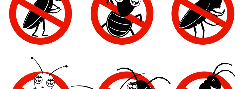 Termite Treatment Port Charlotte